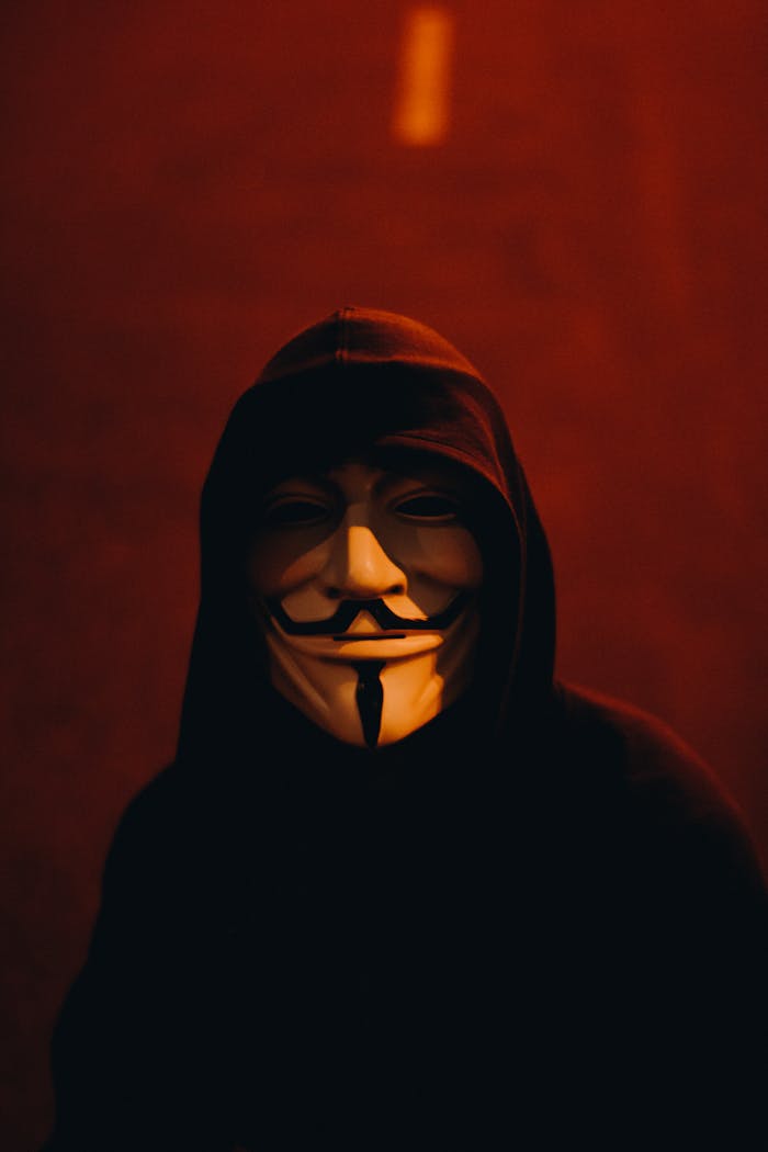 A person wearing a Guy Fawkes mask and hood in a dark, mysterious setting.